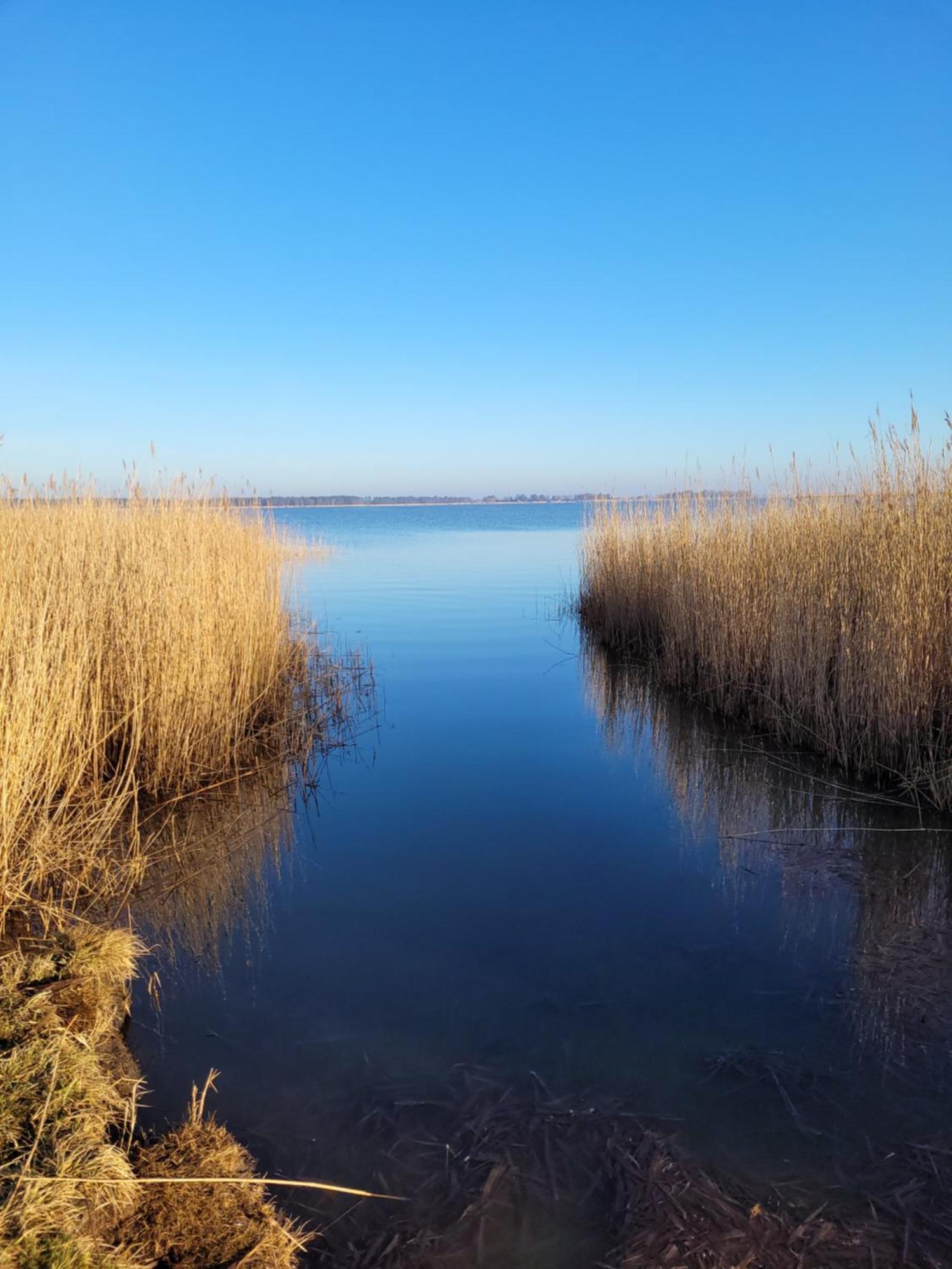 Urlaub Unterm Reetdach Auf Dem Darss Villa Fuhlendorf  Buitenkant foto